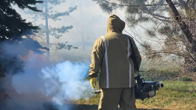 кровососущие кусают в Алматы, фото - Новости Zakon.kz от 27.03.2026 14:51