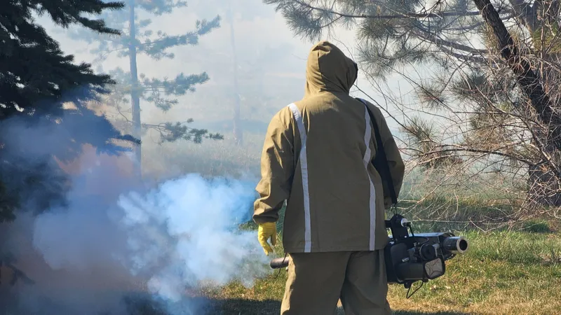 Клещи атакуют: почти 80 случаев в Алматы – как проходит обработка и что важно знать