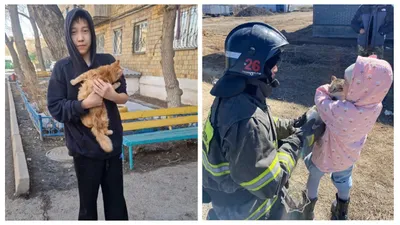 Дети обрадовались спасенным кошкам в Карагандинской области, фото - Новости Zakon.kz от 28.03.2026 15:06