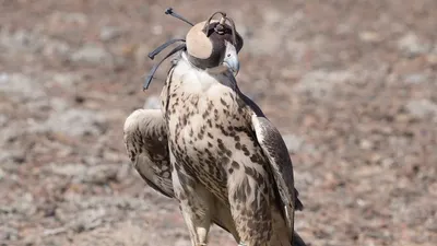 Природа Казахстана, фото - Новости Zakon.kz от 30.03.2026 06:16