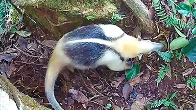 Звериный общественный туалет, фото - Новости Zakon.kz от 29.03.2026 07:55