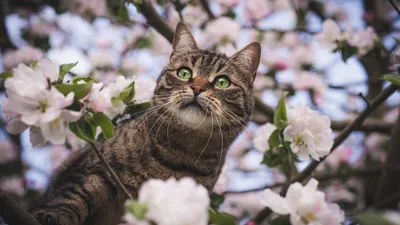 Гороскоп на 29 марта: время выбора, перемен и осторожности