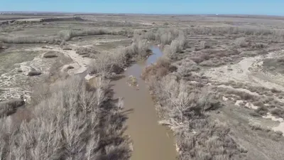 поиск пропавших, фото - Новости Zakon.kz от 30.03.2026 20:49