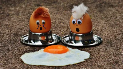 яйца, яичница, фото - Новости Zakon.kz от 30.03.2026 12:01