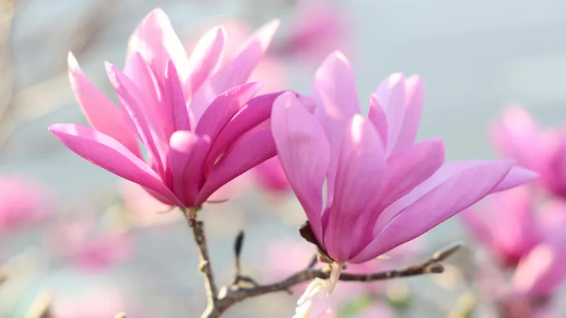 Жара до +30°С: обновленный прогноз погоды на 3 дня в Астане, Алматы и Шымкенте