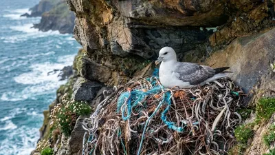 изготовление гнезд из мусора, фото - Новости Zakon.kz от 30.03.2026 15:19