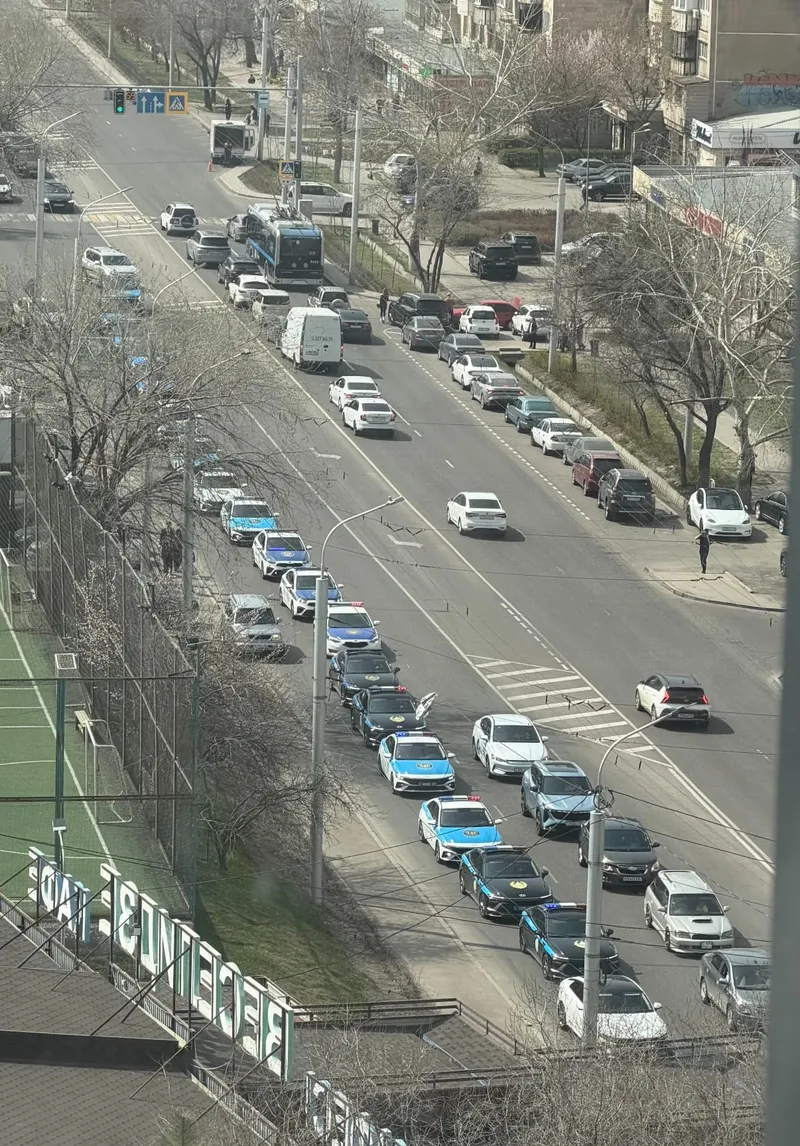 скопление полицейских машин в Алматы, фото - Новости Zakon.kz от 31.03.2026 15:09
