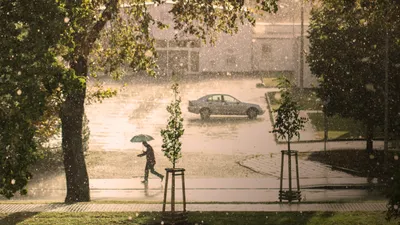 ливень, человек с зонтом, машина, фото - Новости Zakon.kz от 01.04.2026 12:18
