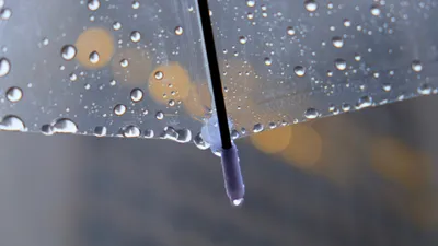 зонтик, капли дождя, фото - Новости Zakon.kz от 01.04.2026 17:19