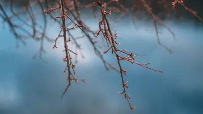 штормовое предупреждение, фото - Новости Zakon.kz от 01.04.2026 19:57