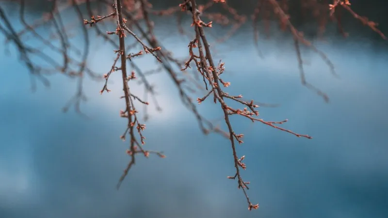 Синоптики предупреждают: в четверг на Казахстан надвигается шторм