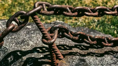 жительница Атырау избила собаку лопатой, фото - Новости Zakon.kz от 01.04.2026 23:36