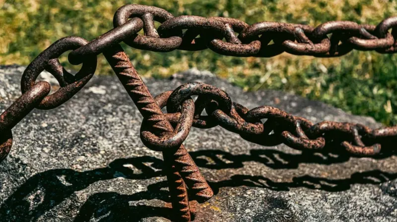 Жестокую расправу над собакой устроила жительница Атырау