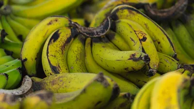 бананы, фрукт, фото - Новости Zakon.kz от 02.04.2026 15:26