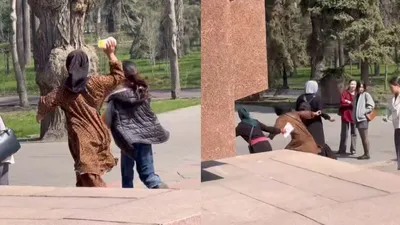 "Отобрали напитки, кидались камнями": девочки-подростки напали на прохожих в парке Алматы, фото - Новости Zakon.kz от 02.04.2026 18:43