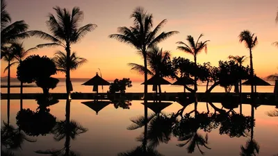 всплеск нападений на туристов насторожил власти Бали, фото - Новости Zakon.kz от 03.04.2026 08:09