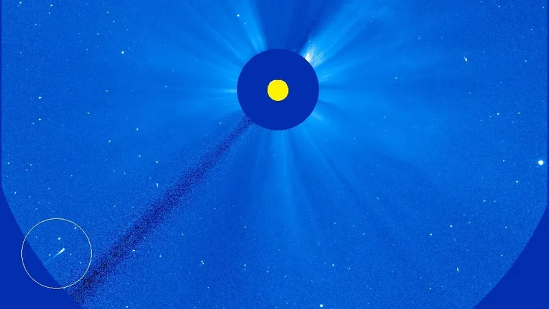 летящая на Солнце комета, фото - Новости Zakon.kz от 03.04.2026 12:53