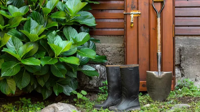 Популярные дачные ошибки, о которых мало кто знает