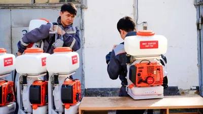 Как будут бороться с комарами и мошками в Астане, фото - Новости Zakon.kz от 03.04.2026 14:51