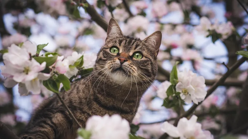 День под влиянием эмоций и логики: гороскоп на 4 апреля