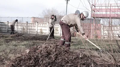 субботник, фото - Новости Zakon.kz от 04.04.2026 16:43