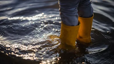 В Акмолинской области прорвало плотину, фото - Новости Zakon.kz от 06.04.2026 01:28