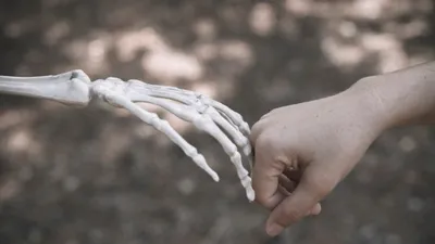 Неизвестная ветвь человечества обнаружена под Пекином, фото - Новости Zakon.kz от 06.04.2026 01:03