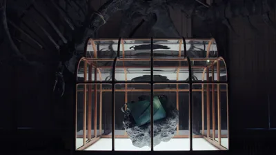 сумка из кожи тиранозавра, фото - Новости Zakon.kz от 06.04.2026 15:10