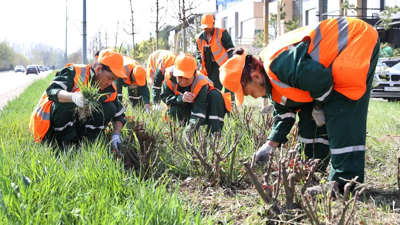 Таза Қазақстан: в Алматы в 2026 году высадят более 550 тыс. зеленых насаждений