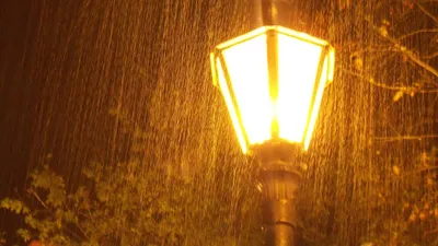 уличный фонарь, ливень, фото - Новости Zakon.kz от 06.04.2026 17:54
