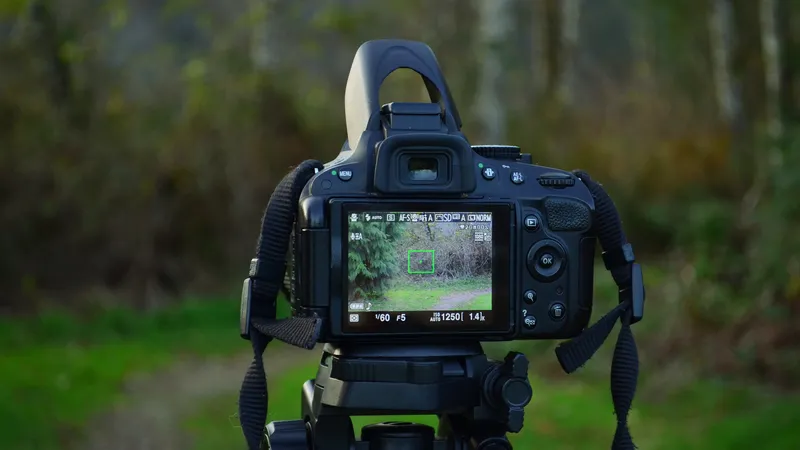 Блогеру через забор перебросили 15 млн тенге: суд вынес приговор