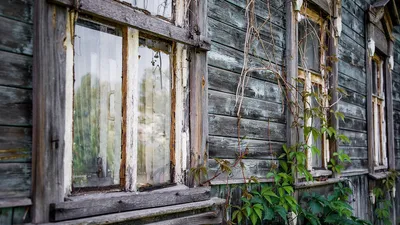 в доме нашли мумии, фото - Новости Zakon.kz от 06.04.2026 19:40