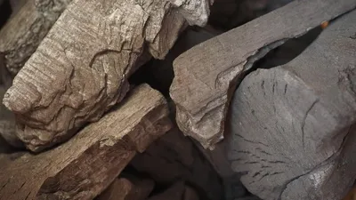 уголь, запасы, фото - Новости Zakon.kz от 07.04.2026 13:45