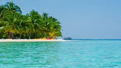 туристка исчезла во время прогулки на море с мужем, фото - Новости Zakon.kz от 07.04.2026 18:49