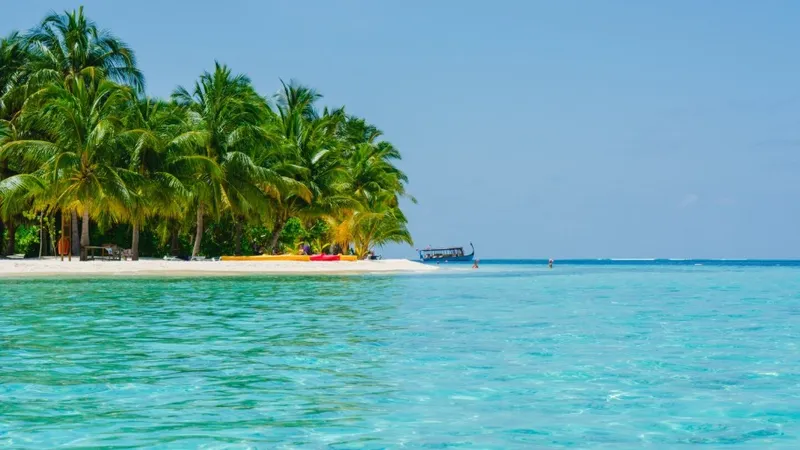 Тайна исчезновения в океане: туристка пропала на глазах у супруга на Багамах