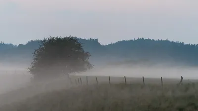 штормовое предупреждение, фото - Новости Zakon.kz от 07.04.2026 19:49