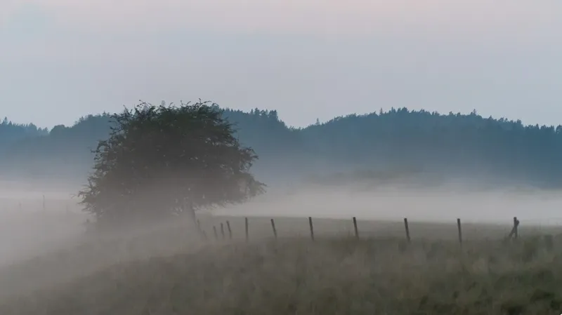 Какие регионы Казахстана затронуло штормовое предупреждение