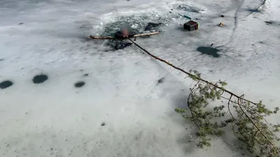 лед, елка, удочка, фото - Новости Zakon.kz от 07.04.2026 18:00