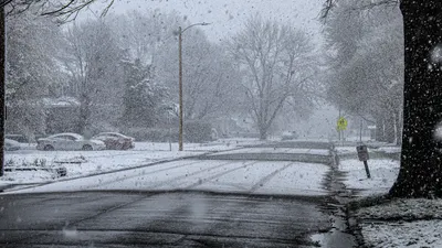 снегопад, фото - Новости Zakon.kz от 08.04.2026 11:42