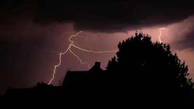 дерево, молния, небо, фото - Новости Zakon.kz от 09.04.2026 17:39