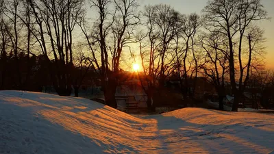 деревья, снег, солнце, фото - Новости Zakon.kz от 10.04.2026 17:17
