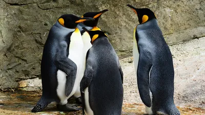 Изменение климата в Антарктиде, фото - Новости Zakon.kz от 11.04.2026 03:40