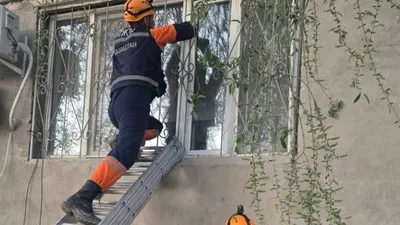 спасатель, фото - Новости Zakon.kz от 11.04.2026 11:29