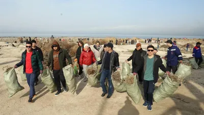 субботник, фото - Новости Zakon.kz от 11.04.2026 16:52