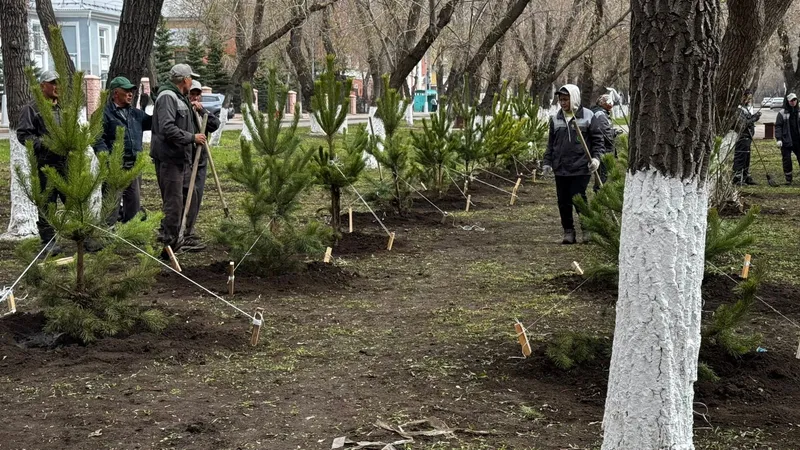 В этом году в Караганде высадят более 25 тысяч деревьев