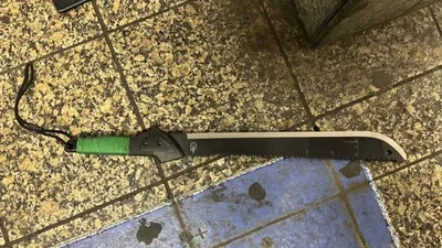 мачете, фото - Новости Zakon.kz от 12.04.2026 12:35