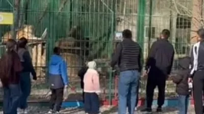 люди, фото - Новости Zakon.kz от 12.04.2026 13:26