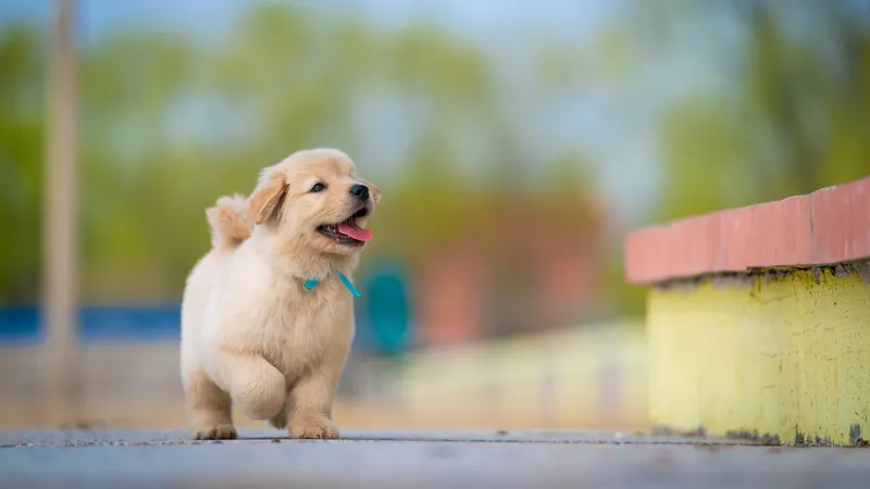 Что ждет знаки зодиака 12 апреля: от гармонии до неожиданных решений