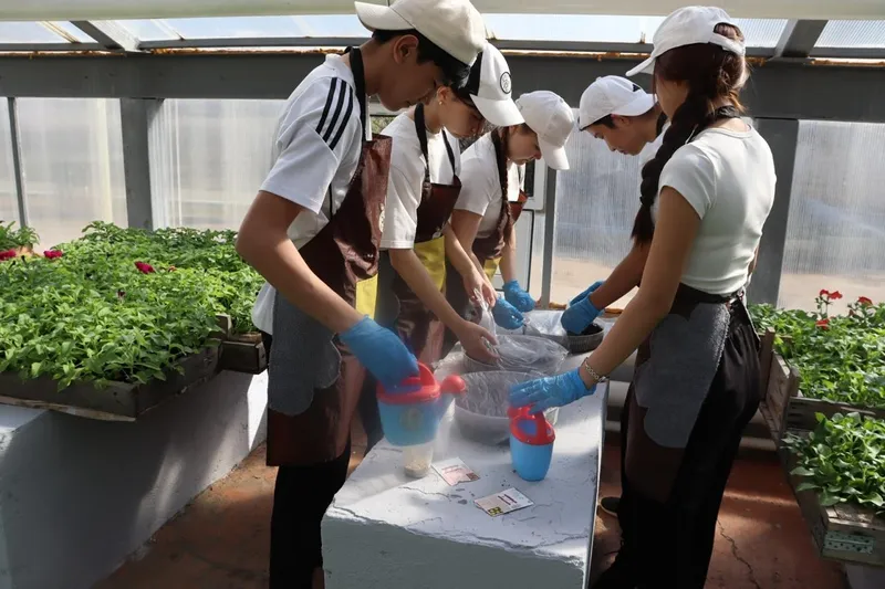 теплица в Актобе, фото - Новости Zakon.kz от 13.04.2026 15:02