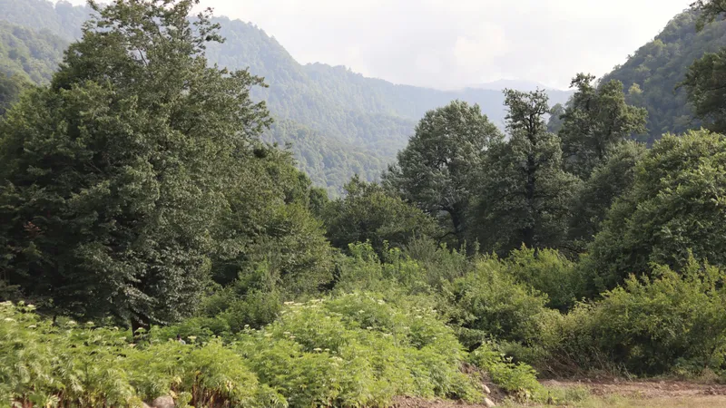 История со свалкой у нацпарка "Алтын-Эмель" получила продолжение